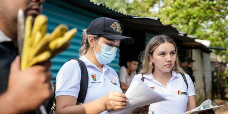 Autoridades recuperan siete lotes utilizados para comercialización Ilegal