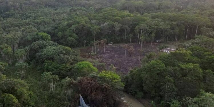 Las impactantes escenas que dejó el accidente de un avión tipo Hércules C-130 en Puerto Leguízamo han generado profunda conmoción en Colombia