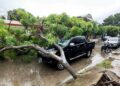 Árbol colapsa por lluvias en Arauca y afecta vehículo