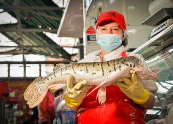 Tradición, sabor y responsabilidad: El panorama del pescado en los Llanos de cara a la Semana Santa
