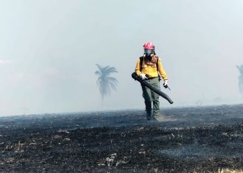 Más de 27 mil hectáreas arrasadas Casanare cierra temporada seca con balance crítico
