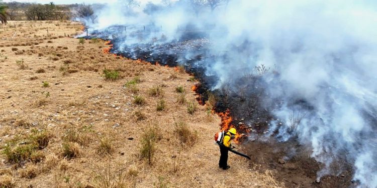 Más de 27 mil hectáreas arrasadas Casanare cierra temporada seca con balance crítico