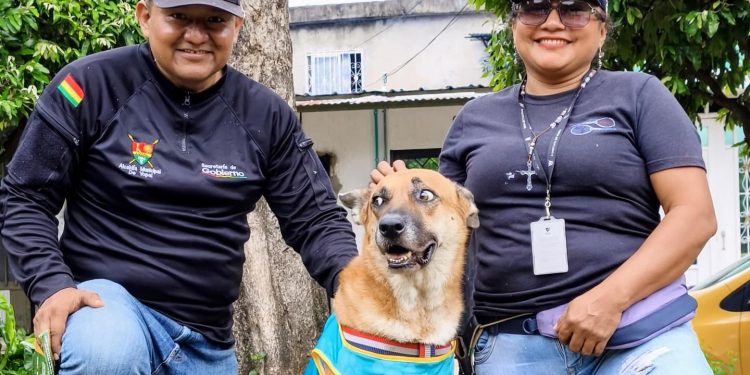 San Mateo da ejemplo: comunidad se une y transforma su entorno con acciones reales