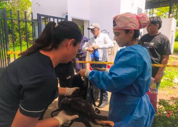 Alcaldía de Yopal: Cuando la ciudad actúa, la vida se protege