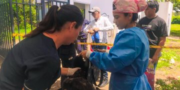 Alcaldía de Yopal: Cuando la ciudad actúa, la vida se protege