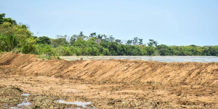 Alcalde de Arauca supervisa obra de Jarillones en la Vereda La Yuca
