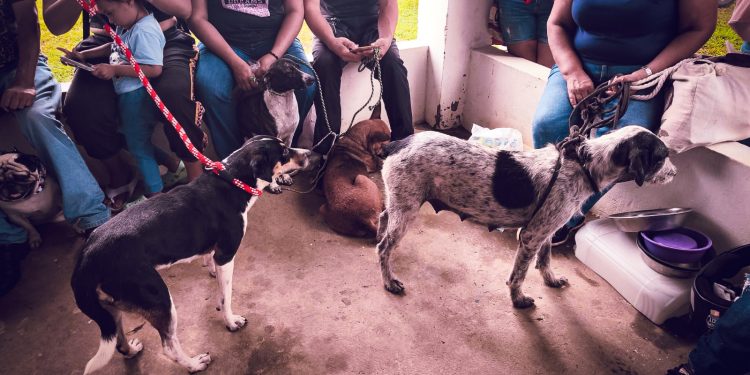 Alcaldía de Yopal: Cuando la ciudad actúa, la vida se protege