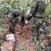 Golpe al narcotráfico en #Vichada