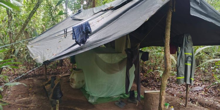 Golpe al narcotráfico en #Vichada