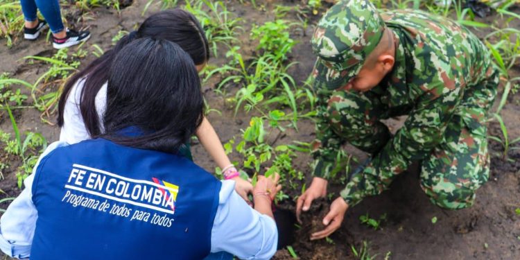 El Ejército siembra vida en Yopal: 200 árboles para recuperar zonas afectadas
