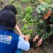 El Ejército siembra vida en Yopal: 200 árboles para recuperar zonas afectadas