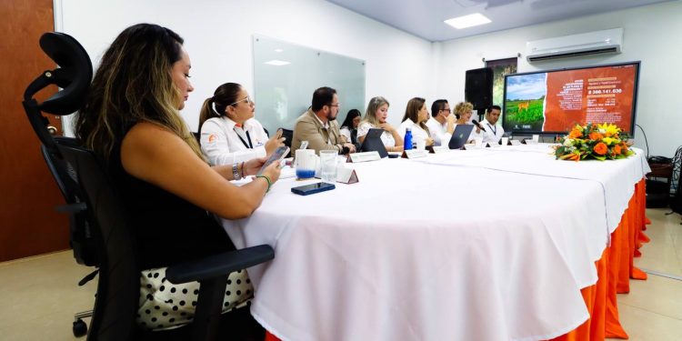 Corporinoquia consolidó su gestión ambiental en el año 2025 con una ejecución física del 93.95% y un notable fortalecimiento institucional