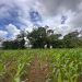 Más de 620 hectáreas protegidas y $6.400 millones invertidos marcaron gestión ambiental en 2025