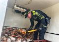 Más de media tonelada de pescado fue incautado en Arauca y desata controversia