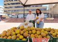 A Sogamoso usted que esPERA