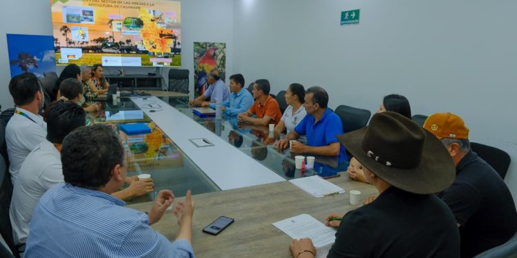 Productores apícolas de Casanare se unen en una sola Federación