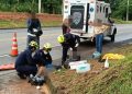 Personal de enfermería de Bomberos Aguazul atiende accidente de tránsito en la vía Aguazul–Monterrey