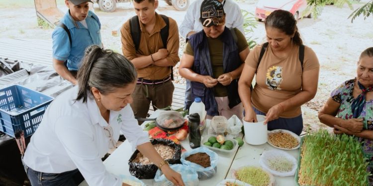 Productores de La Patimena fortalecen el campo con sostenibilidad