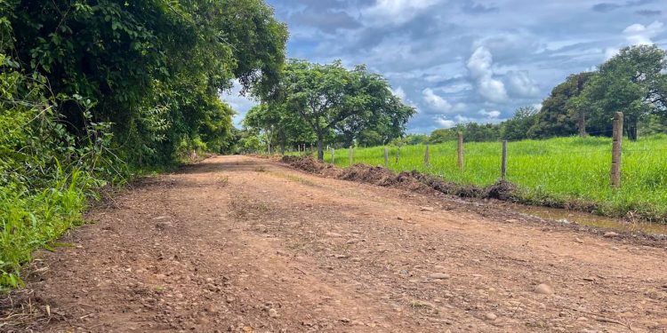 9.5 kilómetros de oportunidades para el campo yopaleño