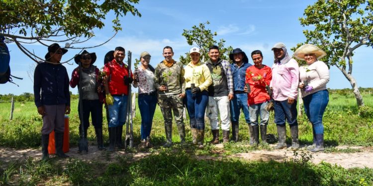 Siembran 300 árboles en zona rural de Yopal para fortalecer la cobertura vegetal