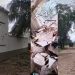 Atentado en Betoyes Arauca, destruyó la Subestación de Policía y deja 3 muertos
