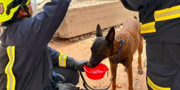 Cuerpo de Bomberos Voluntarios de Villanueva hacen parte del equipo USAR COL 24 en labores de búsqueda y rescate en Cali