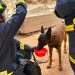 Cuerpo de Bomberos Voluntarios de Villanueva hacen parte del equipo USAR COL 24 en labores de búsqueda y rescate en Cali
