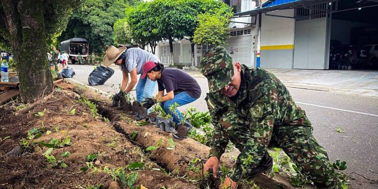Yopal se embellece gracias al Batallón de Apoyo de Acción Integral y Desarrollo N.° 8