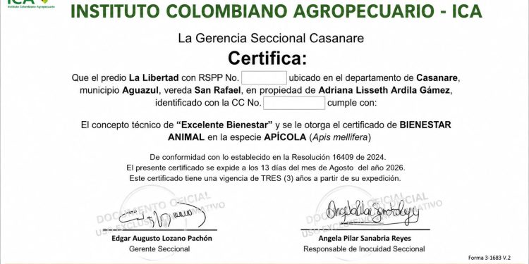 Zumbido Dorado pone a Casanare en la historia de la apicultura colombiana