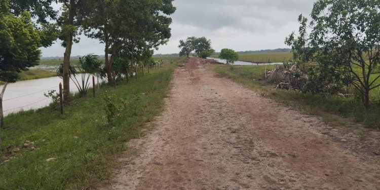 Zorro despliega maquinaria para recuperar seis puntos críticos hacia Bocas del Pauto
