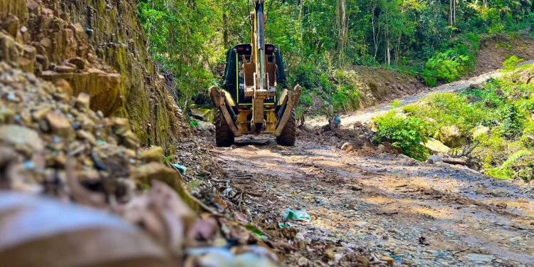 La ola invernal golpeó las vías, pero la respuesta ya está en territorio