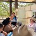 Casanare conversa sobre su llaneridad