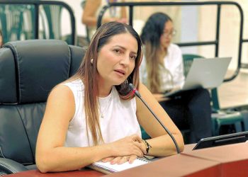 Asamblea de Casanare autoriza transferir 49 bienes inmuebles al municipio de Yopal