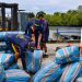 Seis toneladas de marihuana fueron incautadas en operativo de la Armada en el Pacífico colombiano