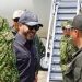 Presidente Abelardo De La Espriella ya se encuentra en la ciudad de Arauca